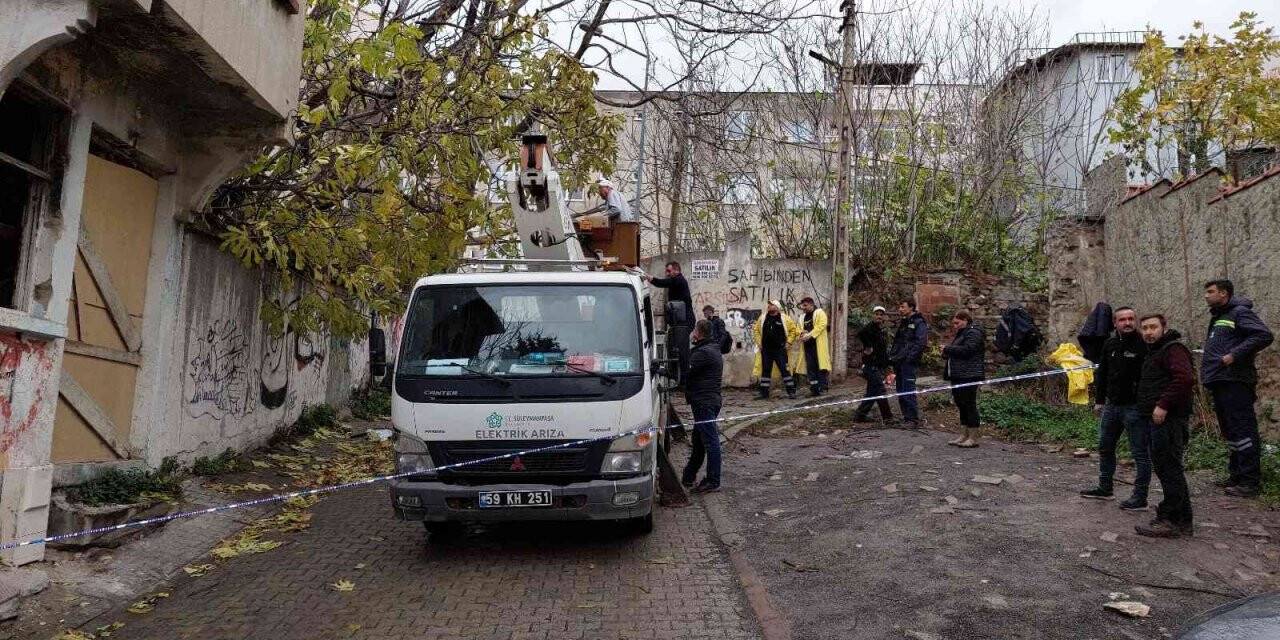 Tekirdağ’da fırtına dev ağaçları uçurdu
