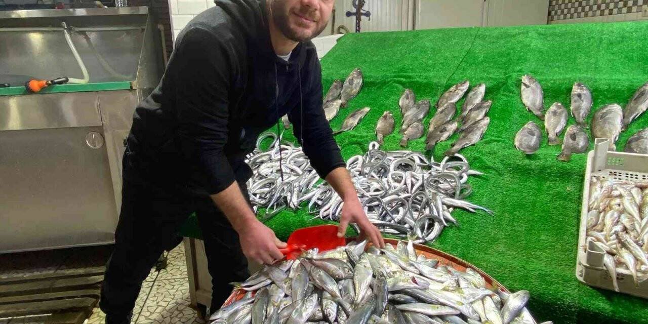 Denizde balık azaldı, fiyatlar arttı