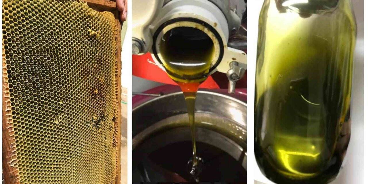 BUÜ’lü akademisyenler tamamen doğal arı yemi ve fonksiyonel bal üretti