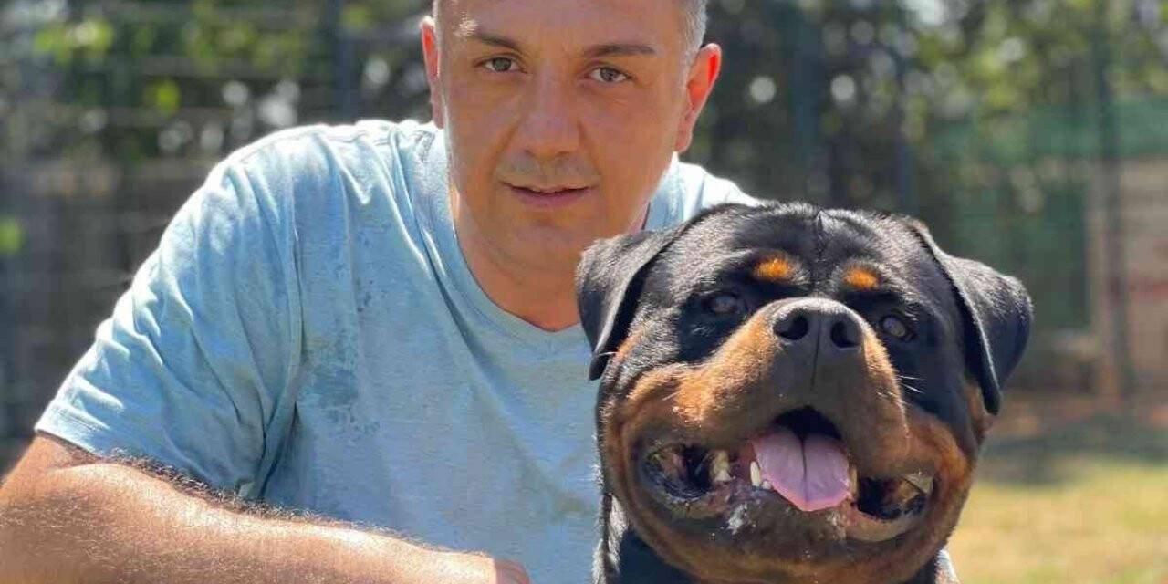 Köpek eğitiminin merkezi: Hause of Istanbul