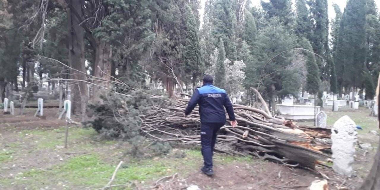 Lodosun hızı 100 kilometreyi geçti, yüz yıllık ağaçlar devrildi