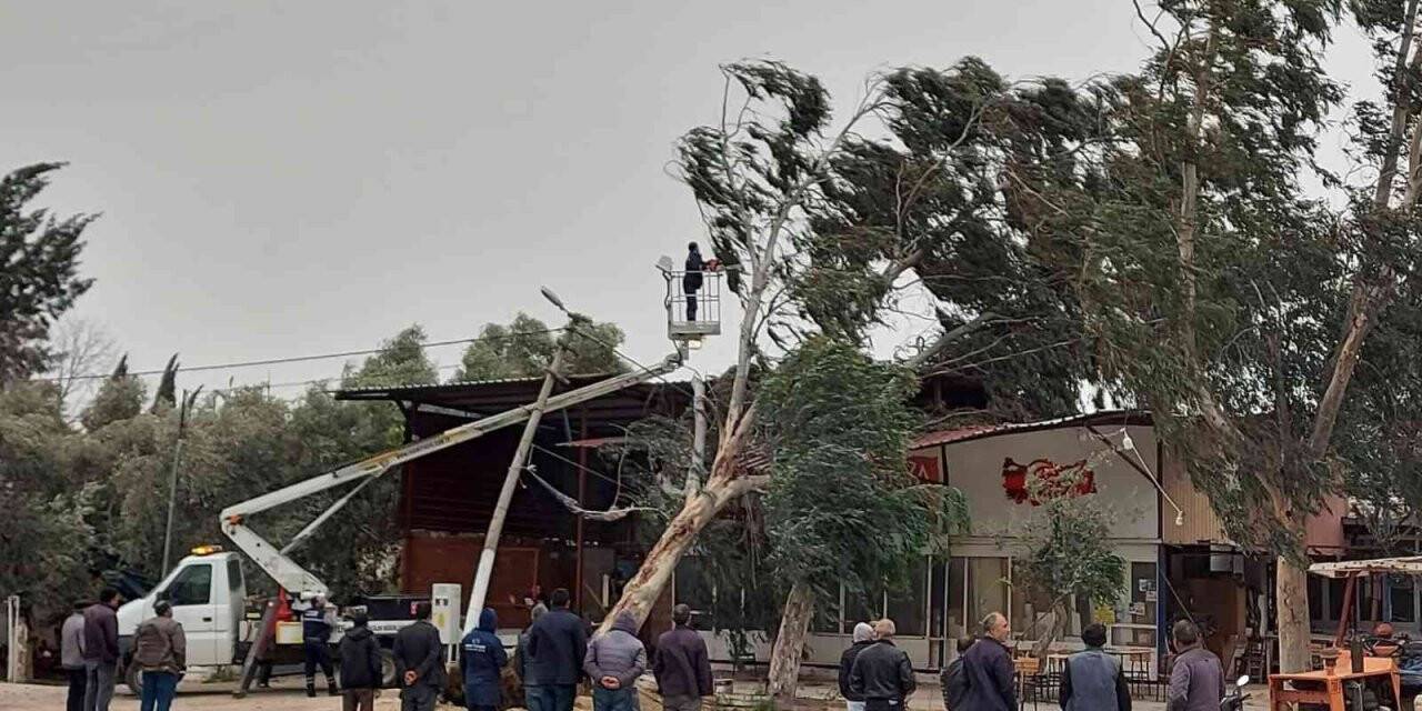 Fırtına İzmir’de ağaçları kökünden söktü, çatıları uçurdu