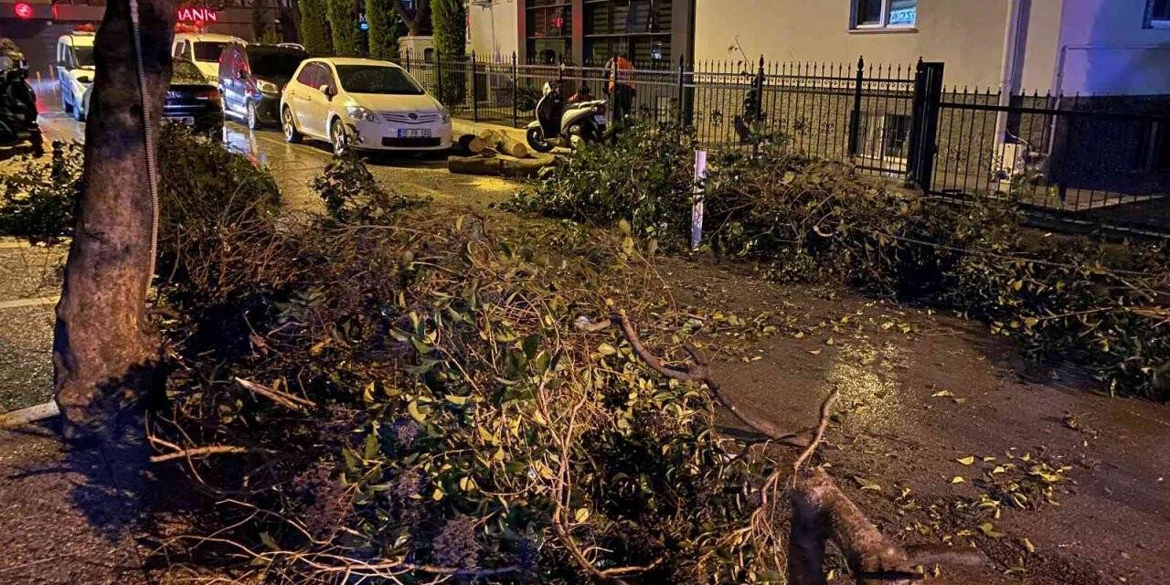Balıkesir’de lodos yıktı, geçti