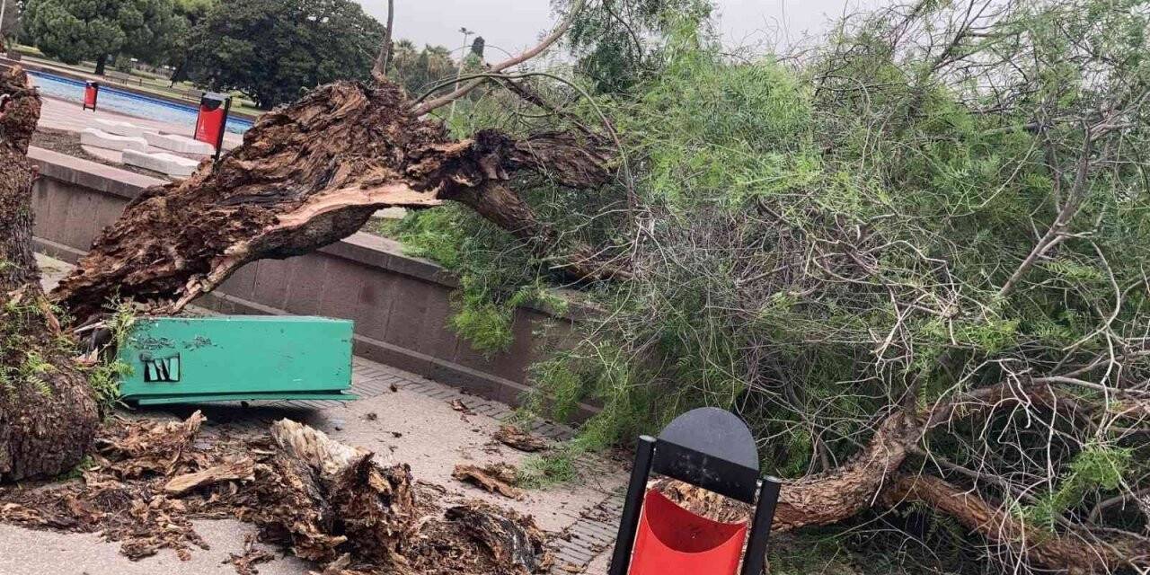 İzmir’de fırtına raporu