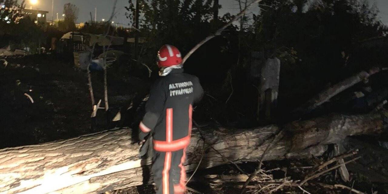 Altınova’da fırtına ağaçların devrilmesine neden oldu