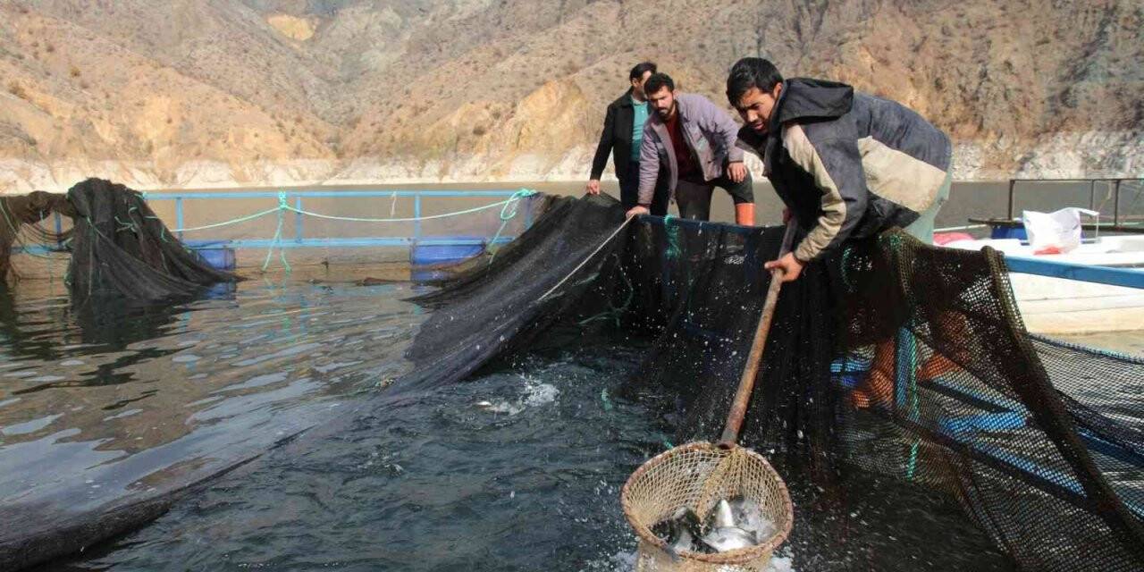 Somon balığı üretiminde Norveç’e rakip oldu