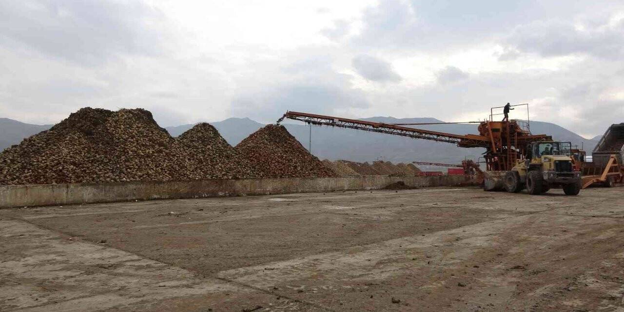 Muş ekonomisine 350 milyon liralık şeker katkısı
