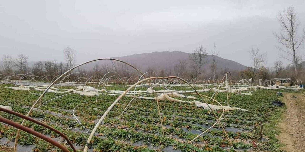 Seralar lodosla parçalandı