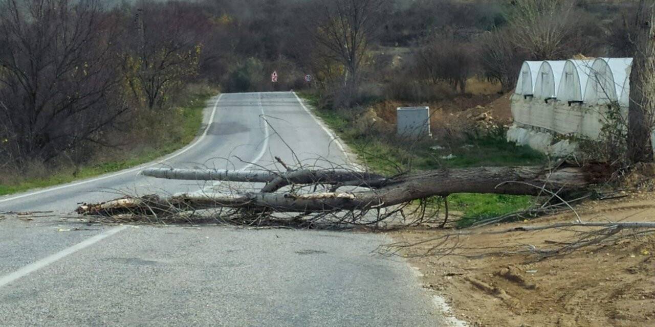 İnhisar-Eskişehir karayolu devrilen ağaç yüzünden bir süre ulaşıma kapandı