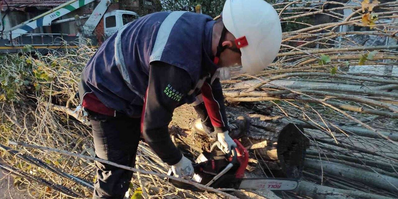 Şiddetli lodos enerji hatlarını tahrip etti