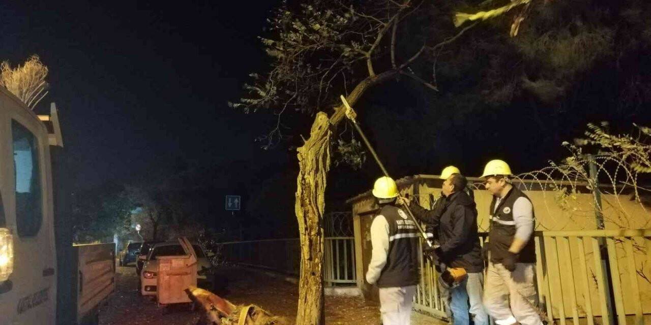 Kartal’da lodos nöbeti