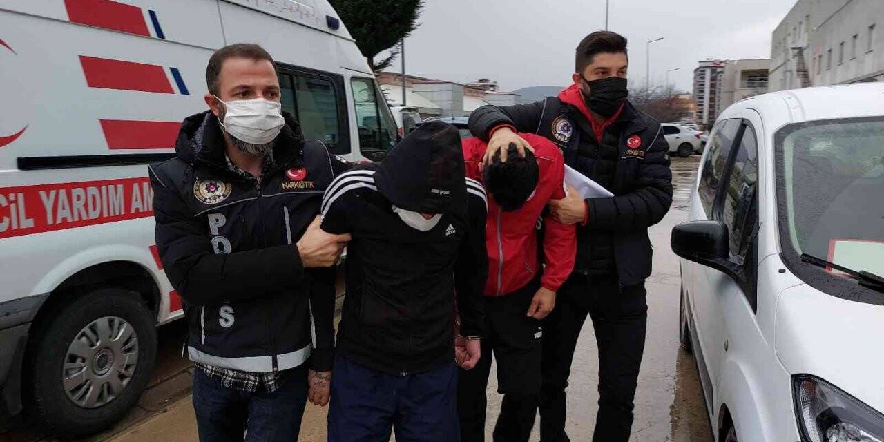 Samsun’da 4 kilo bonzai ele geçirildi: 4 gözaltı