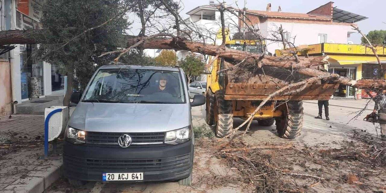 Şiddetli rüzgardan kırılan ağaç park halindeki aracın üzerine düştü