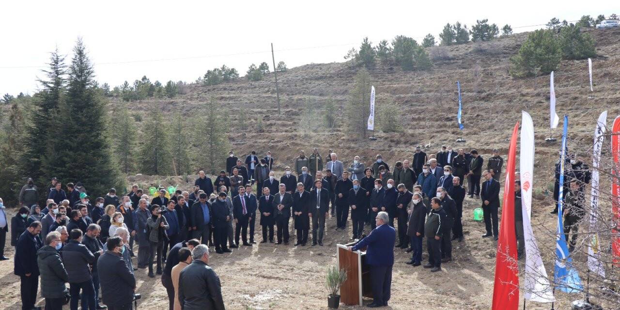 5 bin fidan toprakla buluştu