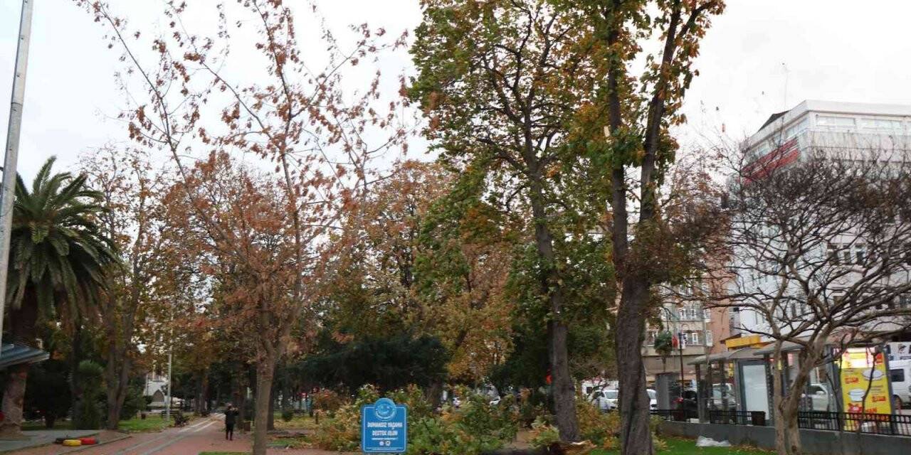 Samsun’da şiddetli fırtına: Çatılar uçtu, ağaçlar devrildi
