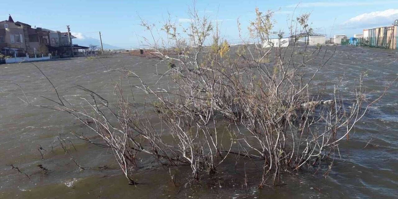 Edirne’de denizin taşmasıyla kabus gibi gün, korku dolu anlar yaşanıyor