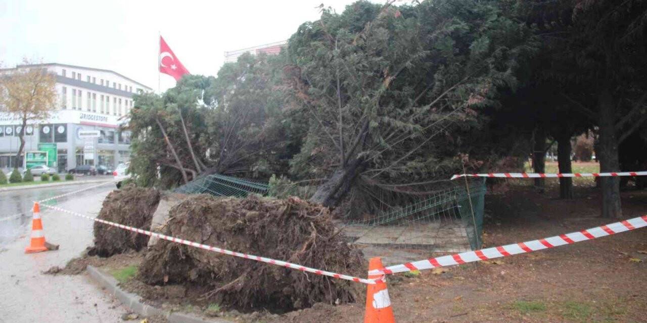 Lodos şehri birbirine kattı
