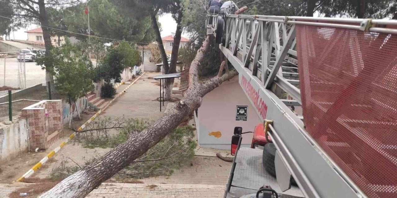 Manisa’da ekipler fırtınaya karşı gece gündüz sahada