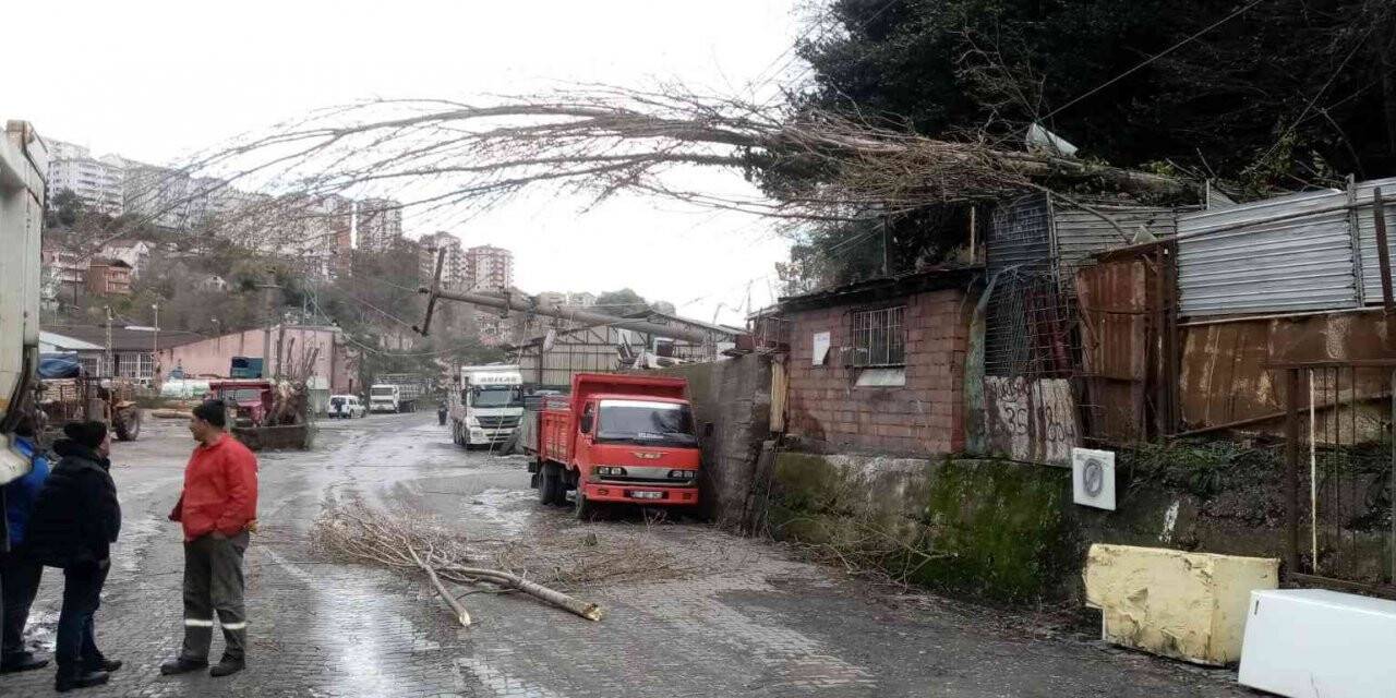 Fırtına direkleri ve ağaçları devirdi