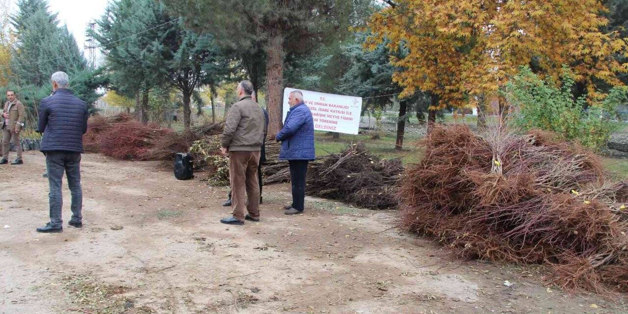 Batmanlı çiftçilere karışık meyve fidanı dağıtıldı