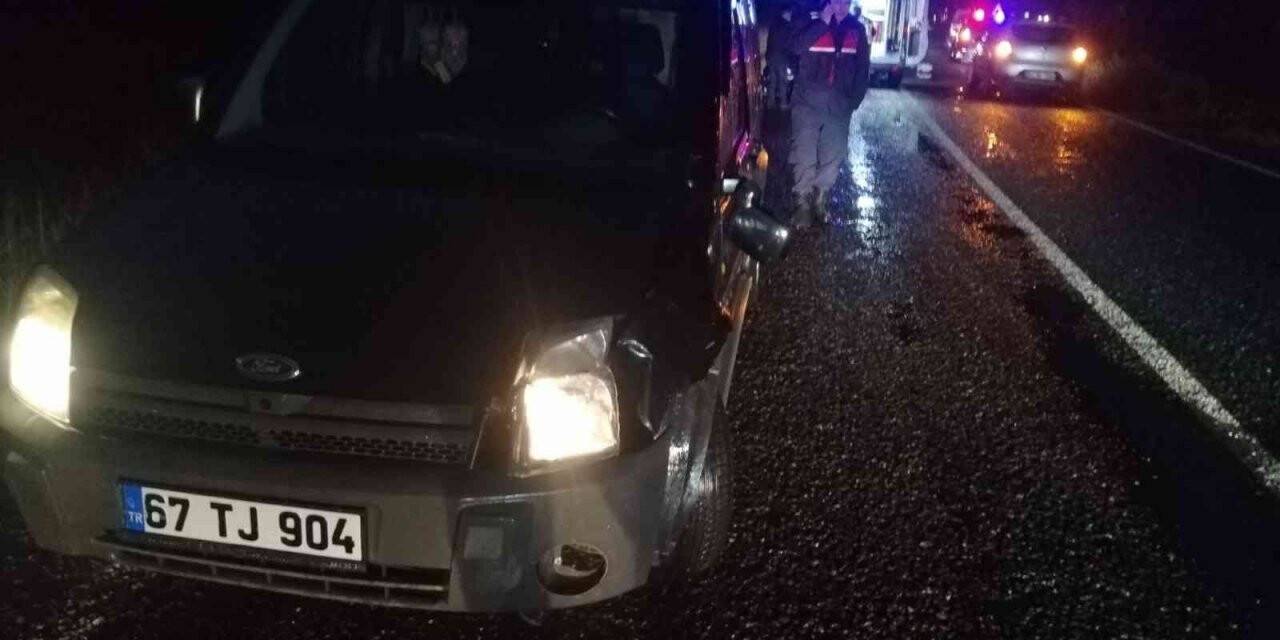 Hayvanların peşinden giderken kamyonet çarptı