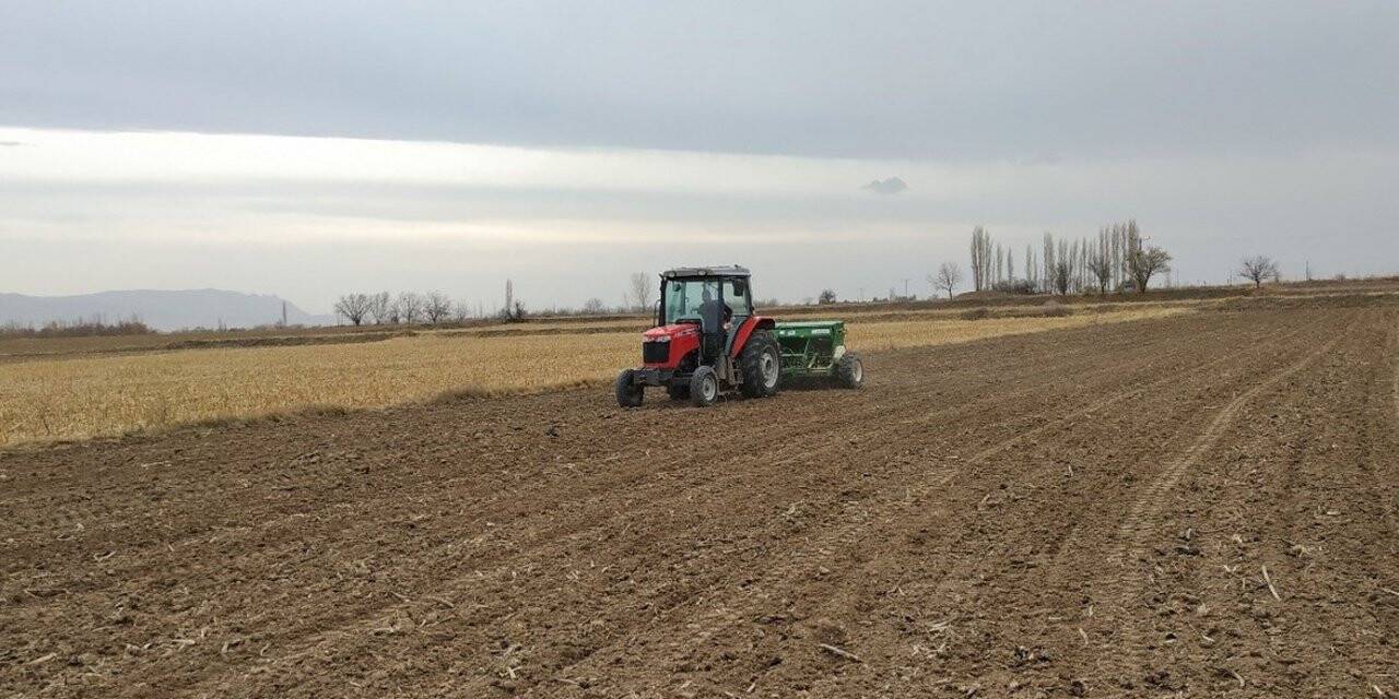 Yüzde 50 hibeli olarak 100 ton makarnalık buğday tohumluğu dağıtıldı