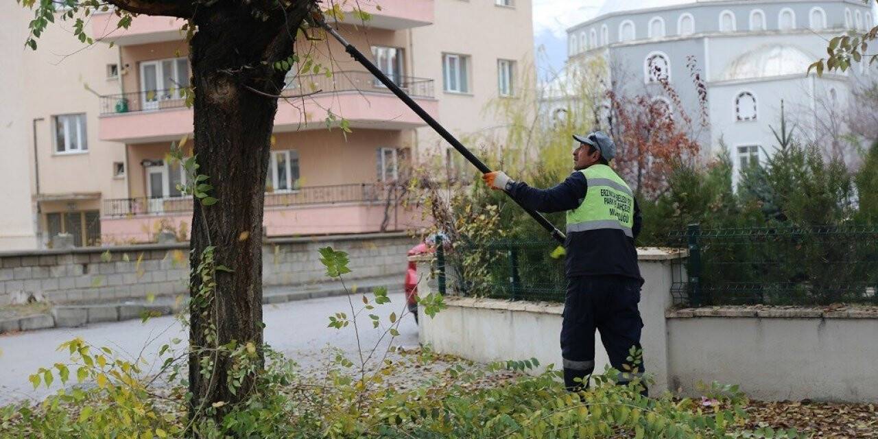 Erzincan’da sıcak asfalt, temizlik ve peyzaj çalışmaları devam ediyor