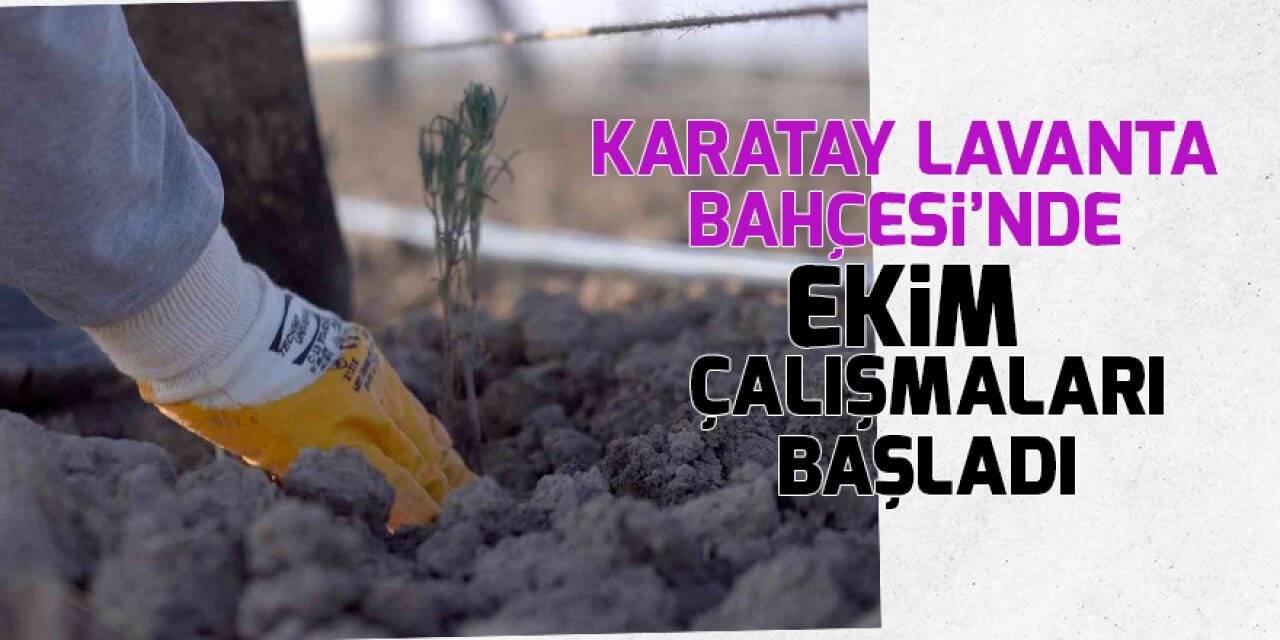 Karatay Lavanta Bahçesi’nde ekim çalışmaları başladı