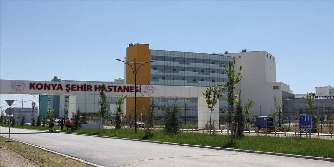 Konya'da sokak köpeklerinden kaçmak isterken otomobile çarptı