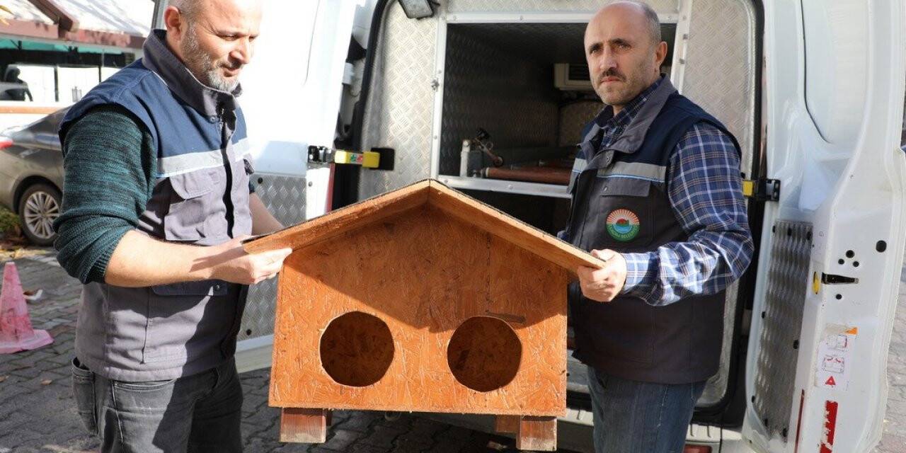 Kedi Evi projesi İlkadım’da hayat buldu