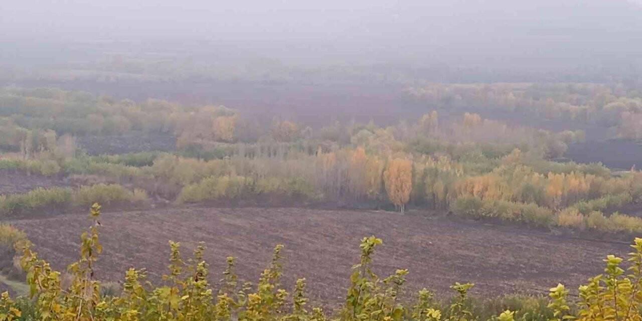 Sonbahar bitti, geride manzarası kaldı