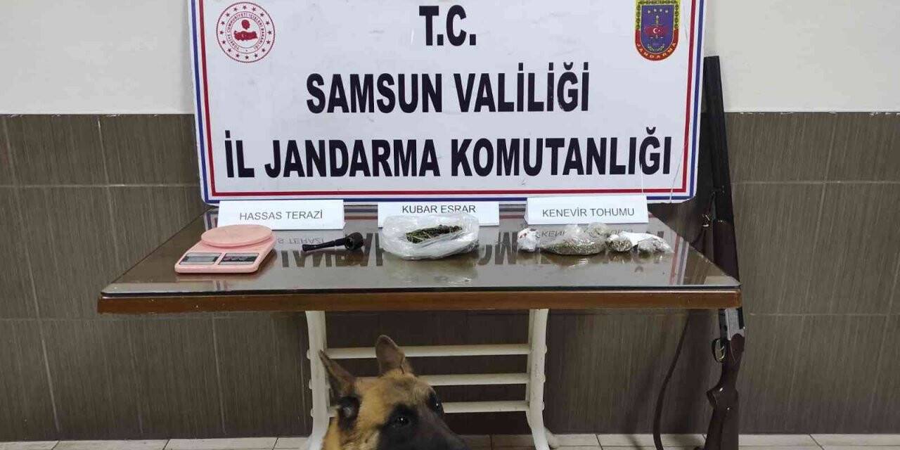 Jandarmadan uyuşturucu operasyonu: 1 gözaltı