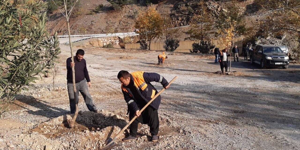 Yangın bölgesinde mesire alanı oluşturuldu