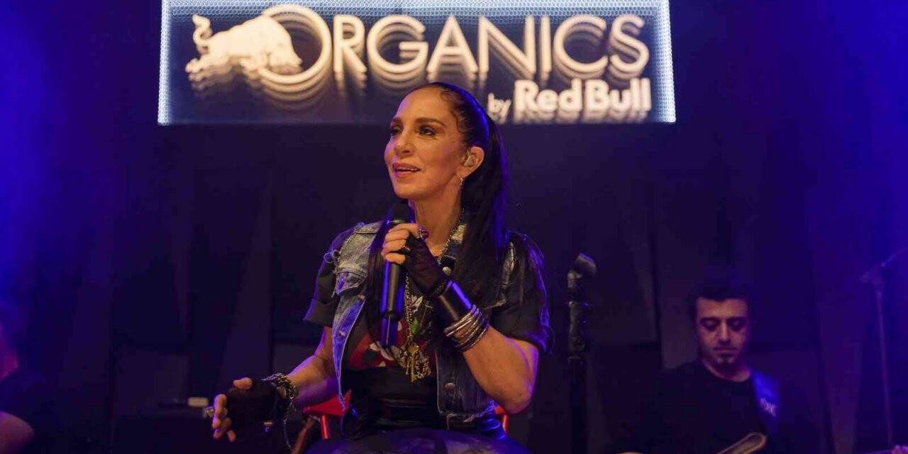Müzik, sanat ve gastronomi tutkunları bir araya geldi
