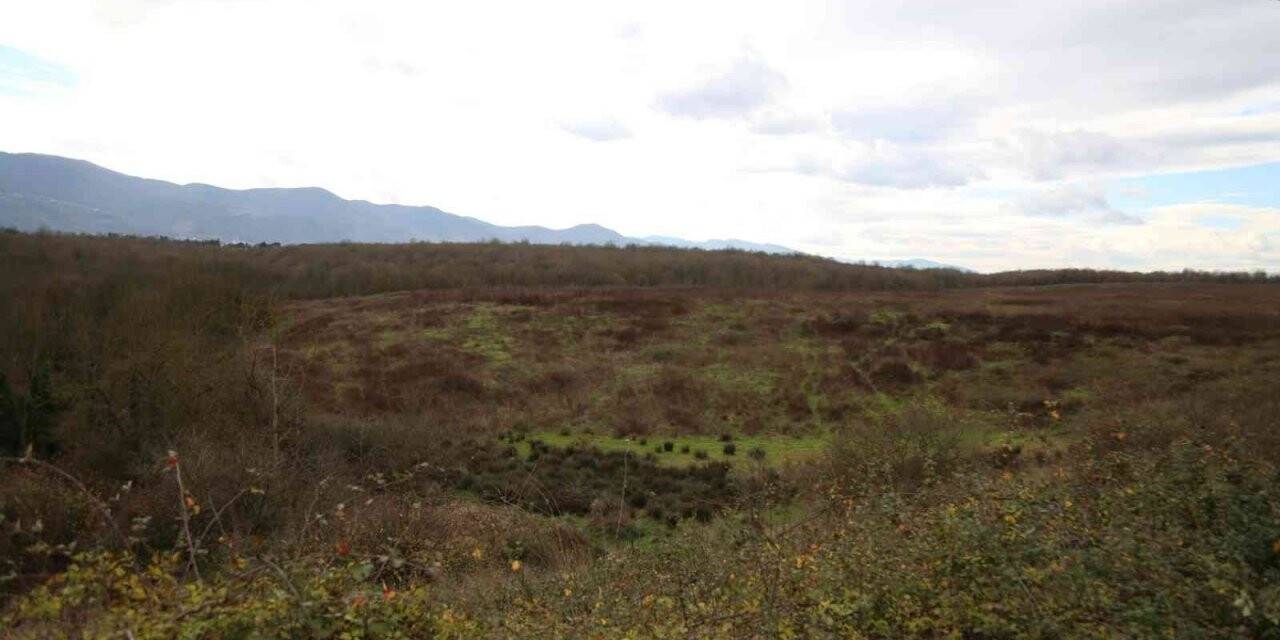 Yeni fuar merkezi için 92 milyon TL’ye yer alındı