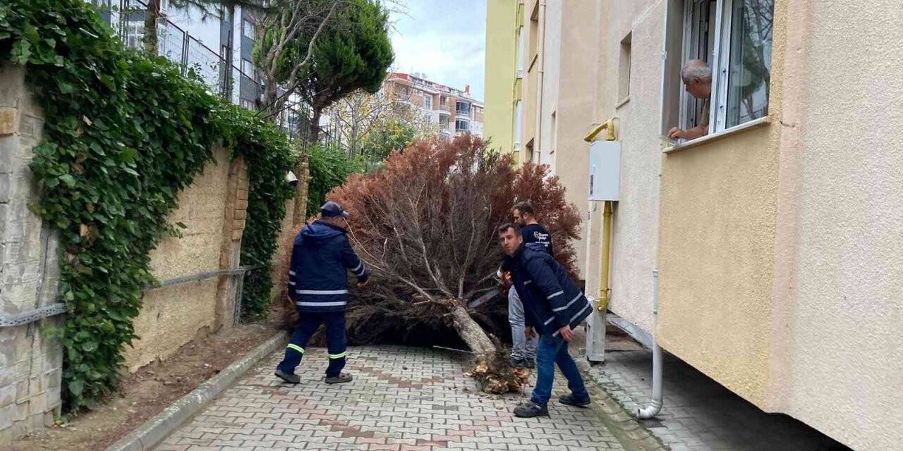 Lodosun yaraları sarılıyor