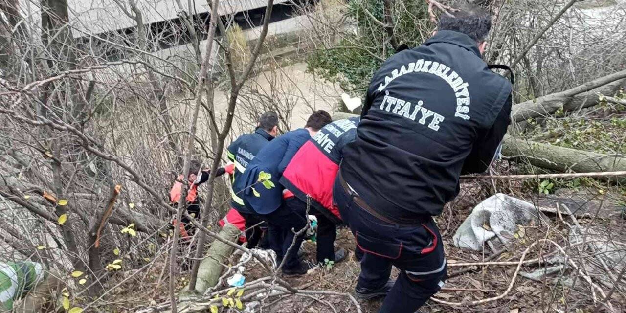 Ağaç keserken uçuruma yuvarlandı