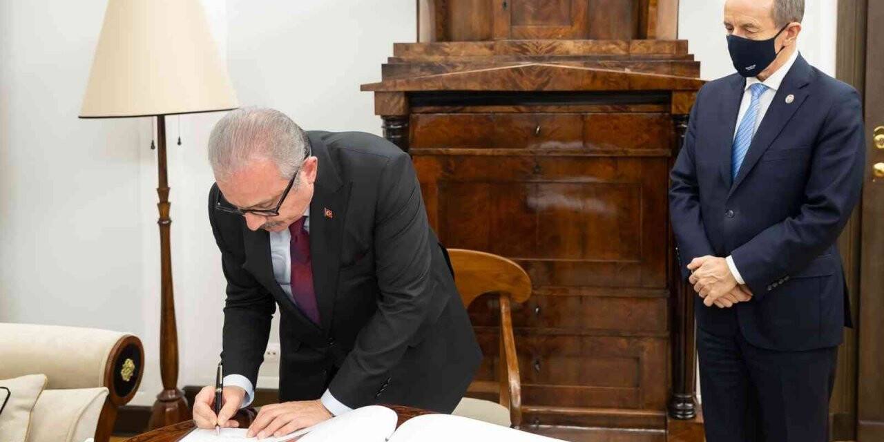 TBMM Başkanı Şentop, Polonya Senatosu Başkanı Grodzki ile görüştü