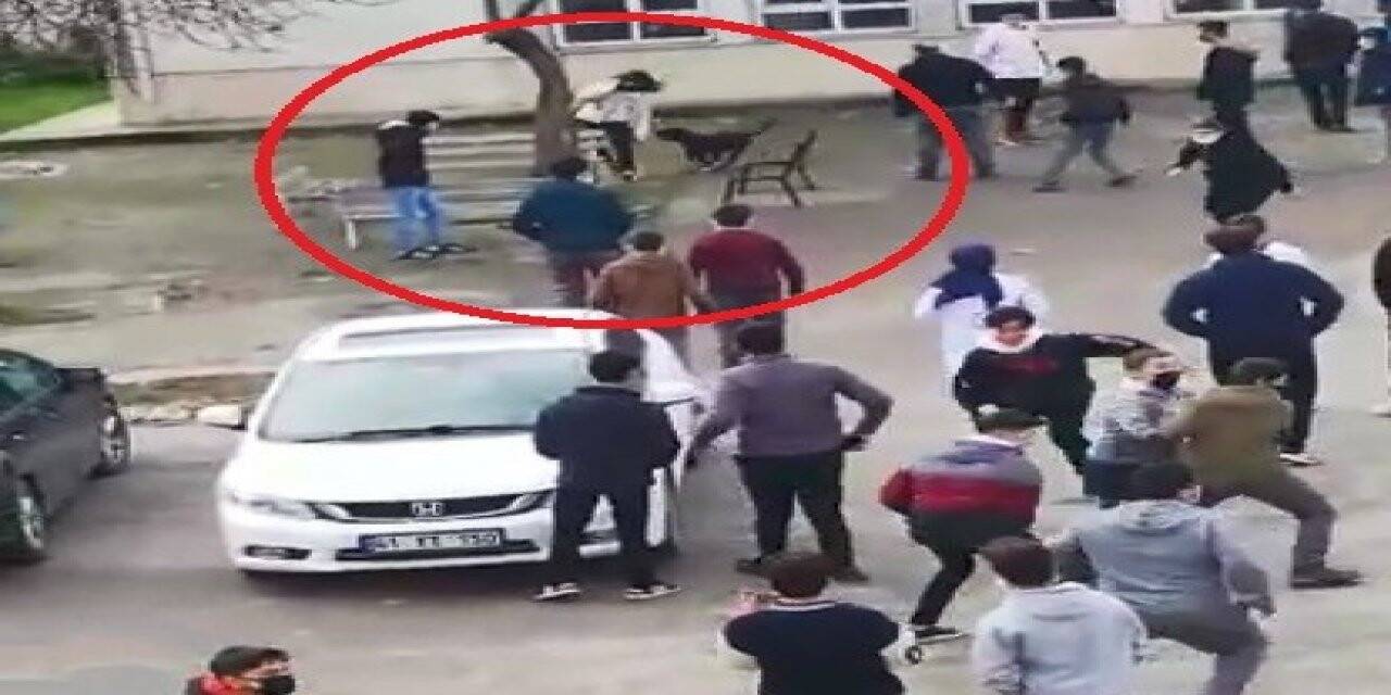 Okula dalan pitbull öğrencilere dehşeti yaşattı