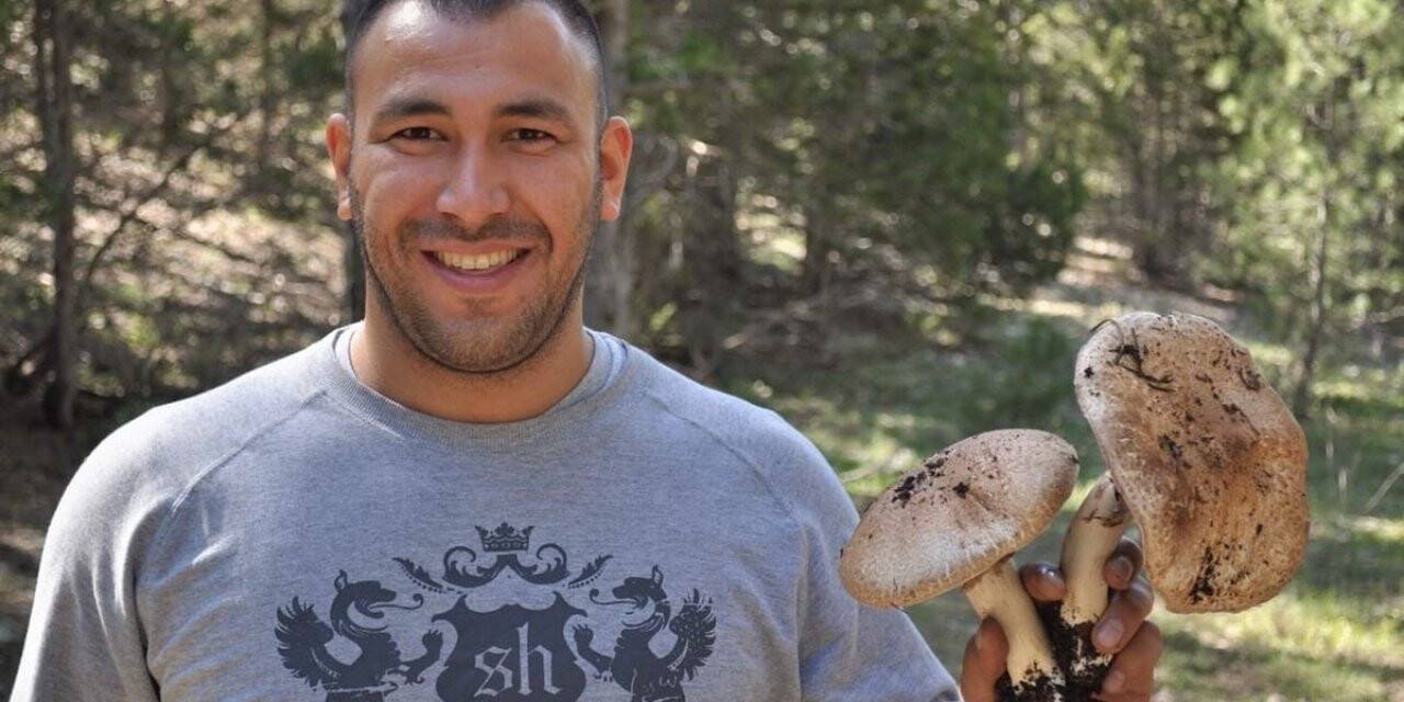 Mantar mevsimi geldi, uzmanlar vatandaşları uyardı