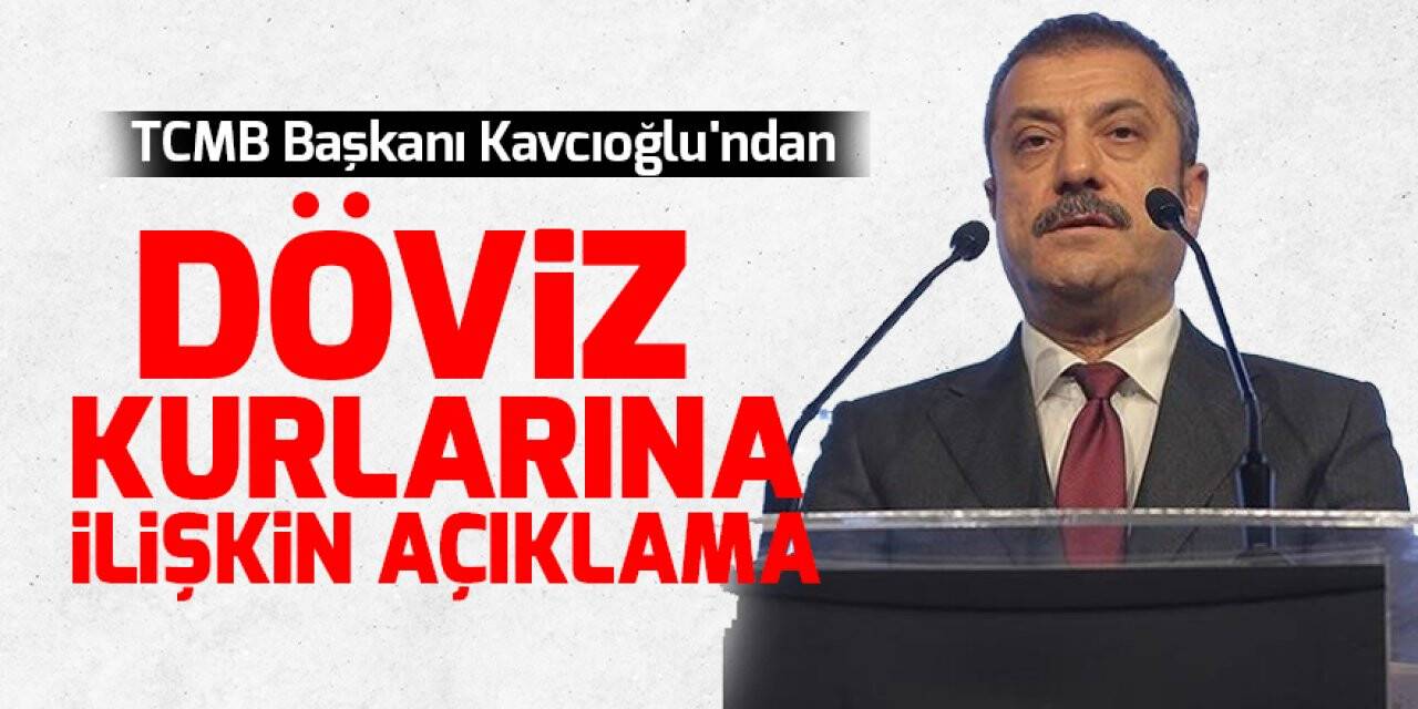 Şahap Kavcıoğlu'ndan döviz kurlarına ilişkin açıklama