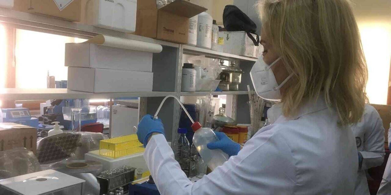 Korona virüsle mücadelede ilaç hamlesi: Faz- 2 çalışması tamamlandı