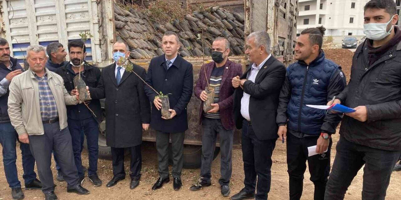 Midyat’ta çiftçilere 48 bin 805 fıstık-badem fidanı dağıtıldı