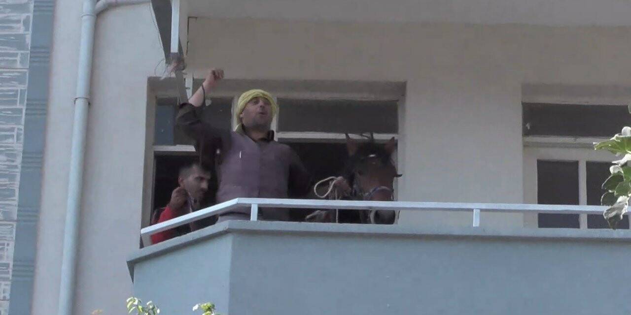 Atıyla daireye çıktı, herkes şaşırdı