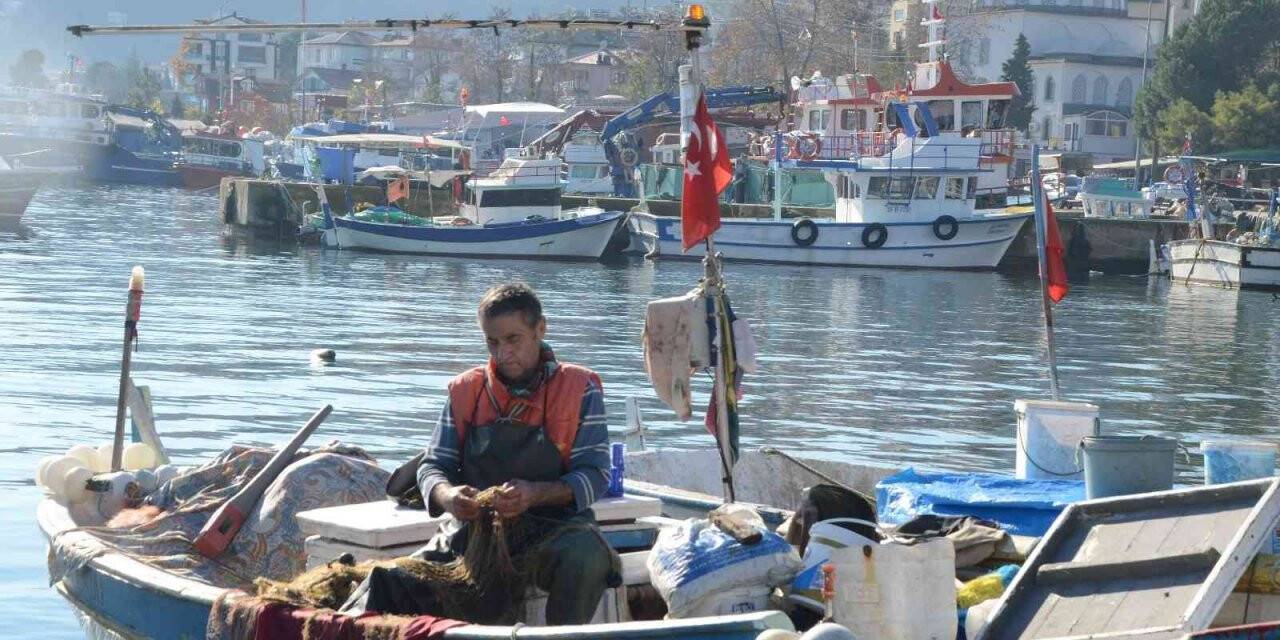 Fırtına balıkçıları vurdu, fiyatlar ikiye katlandı: Hamsi 35 lira