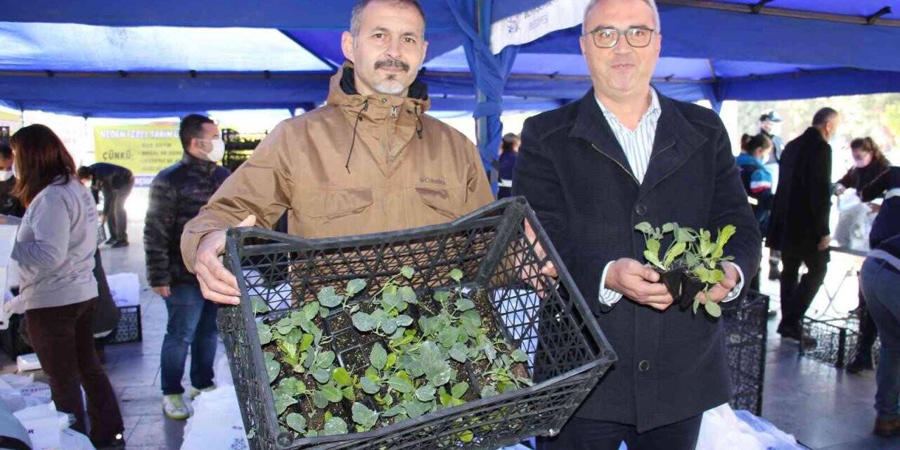 Aydın Büyükşehir Belediyesi 100 bin adet kışlık yerel fideyi vatandaşlara dağıttı