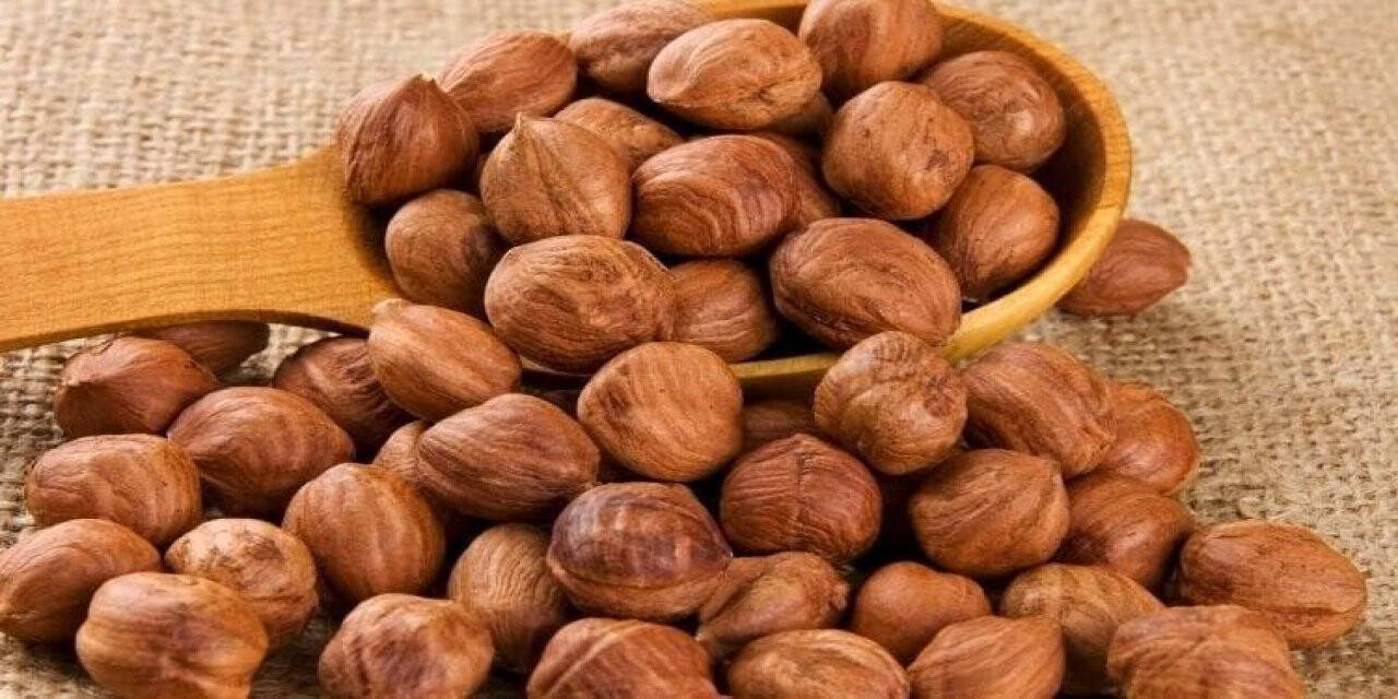 Fındık ihracatı geçen yıla göre arttı