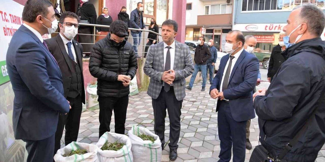 Türkeli’de salep fidesi ve yonca tohumu dağıtıldı