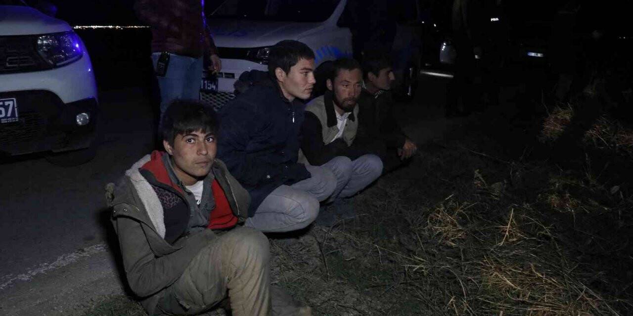 Kaçak göçmen taşıyan minibüs polisten kaçarken pamuk tarlasına devrildi