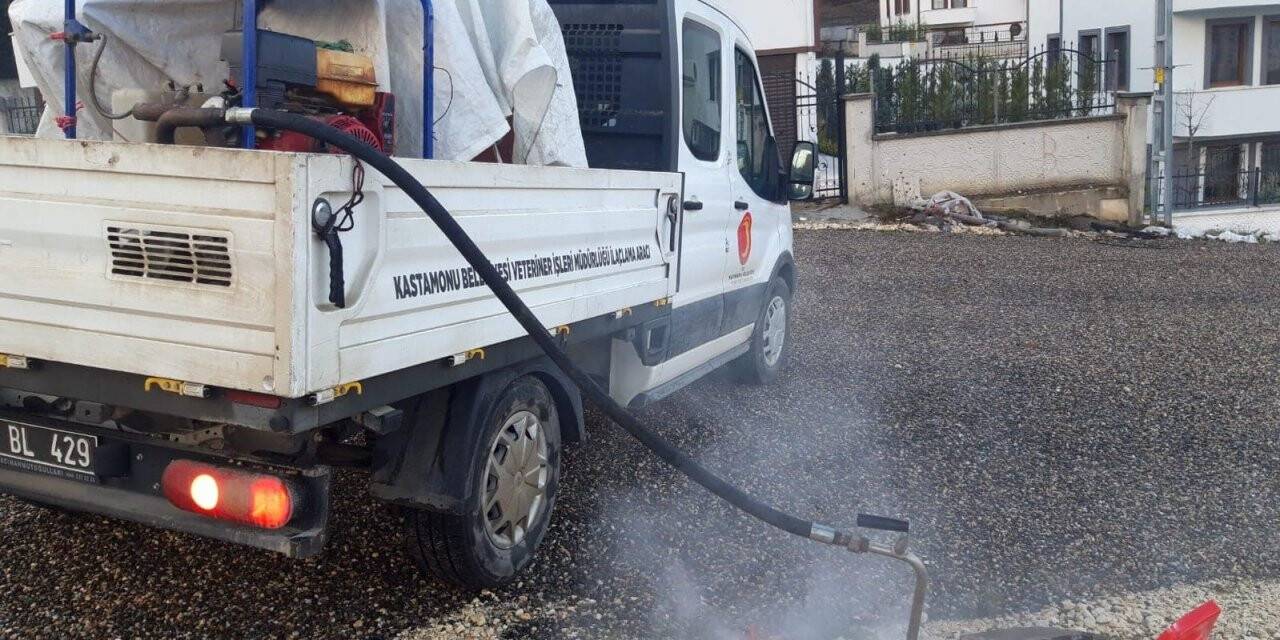 Kastamonu Belediyesi vektöre karşı ilaçlama çalışmalarını sürdürüyor